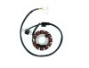 Stator Yamaha WR450F 04- 11, Electrosport