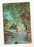 RF150 - Carte Postala - Delta Dunarii, circulata 1962