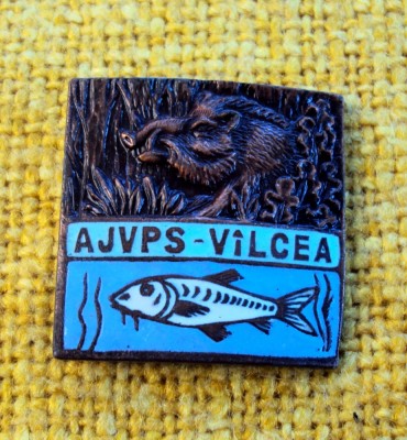 Insigna AGVPS Valcea foto