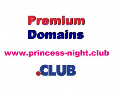 Domeniu premium www.princess-night.club foto