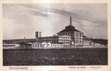 Diciosanmartin. Fabrica De Sticla (circulata 1930)