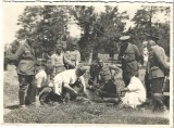 P3035N Castrarea unui armăsar de către medici militari veterinari rom&acirc;ni ai unei unități de cavalerie, perioada regalității