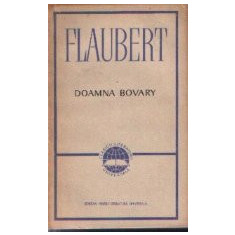 Doamna Bovary (Moravuri de provincie)