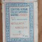 Niculaita Minciuna- Ioan Alexandru Bratescu Voinesti Editura Alcalay