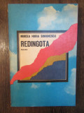 Redingota - Mircea Horia Simionescu