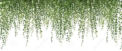 Autocolant Decorativ de Perete cu Frunze Tropicale, 70 x 30 cm 70 cm 30 cm Verde 1 Folie foto