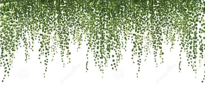 Autocolant Decorativ de Perete cu Frunze Tropicale, 70 x 30 cm 70 cm 30 cm Verde 1 Folie