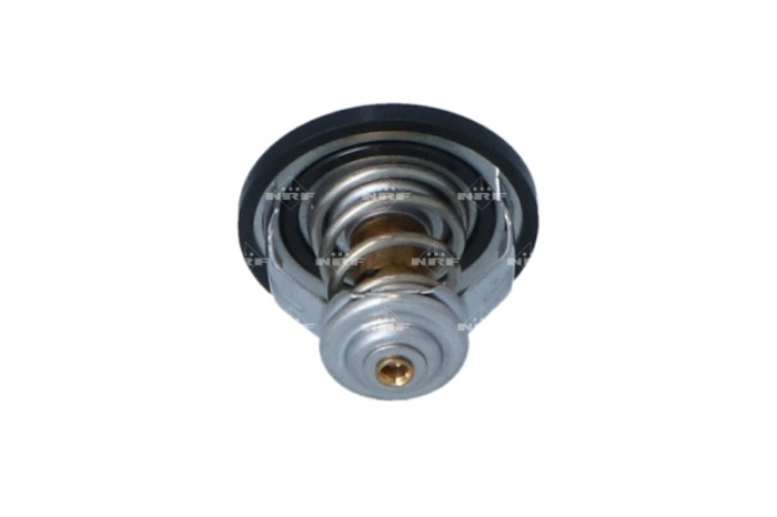NRF 725140 EASY FIT termostat,lichid racire