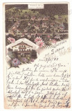 847 - SINAIA, Prahova, Litho, Romania - old postcard - used - 1899, Circulata, Printata