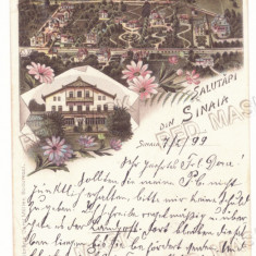 847 - SINAIA, Prahova, Litho, Romania - old postcard - used - 1899