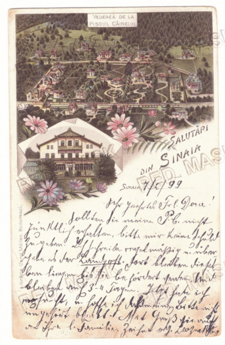 847 - SINAIA, Prahova, Litho, Romania - old postcard - used - 1899