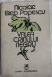 Cumpara ieftin NICOLAE BREB POPESCU - VALEA CRINULUI NEGRU (VERSURI) [editia princeps, 1981]
