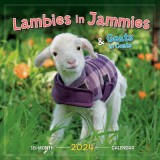Lambies in Jammies &amp; Goats in Coats
