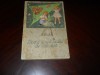 Cercul experimental de botanica - A. Nita, 1958, Editura Tineretului, Carte veche de botanică