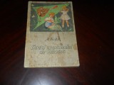 Cercul experimental de botanica- A. Nita,1958, Tineretului
