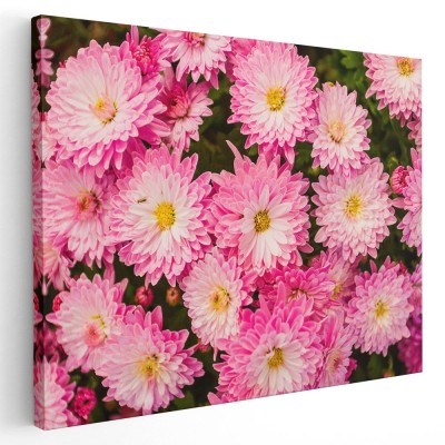 Tablou flori de crizantema roz Tablou canvas pe panza CU RAMA 20x30 cm foto