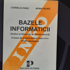 Cornelia Ivasc, Mona Pruna - Bazele Informaticii (Proiect Manual Clasa A X-A)