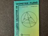 PROBLEME CALITATIVE DE GEOMETRIE PLANA L.PANAITOPOL 25/3