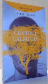 CENTRUL CALMULUI - STEVE TAYLOR foto