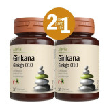 Pachet Ginkana Ginkgo Q10, 30+30 comprimate, Alevia