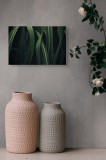 Tablou Canvas, "Verde proaspăt &icirc;n dansul naturii", Frunze, Verde, Umezeală, &Icirc;ntunecat, Natură, Textură, Vegetație, 39 x 26 cm, CMCLASS