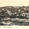 AD 997 C. P. VECHE -DRESDEN - BLICK AUF LASCHWITZ -GERMANIA