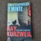 Ray Kurzweil - Cum se construieste o minte