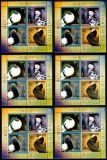 Romania 2005, LP 1701, Columbofilie, LOT COMPLET, blocuri de 4 in toate cele 6 variante de dantelura! MNH! RARE!!!