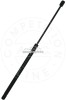 Amortizor portbagaj OPEL ASTRA G Hatchback (F48, F08) (1998 - 2009) AIC 53850