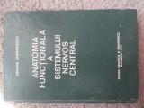 Anatomia functionala a SNC