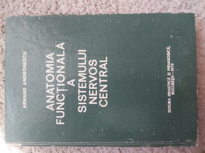 Anatomia functionala a SNC