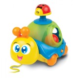 JUCARIE DE TRAS MELC, Winfun