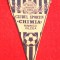 Fanion fotbal - CS &quot;CHIMIA&quot; RAMNICU-VALCEA (fara snurul de agatat)