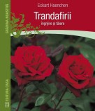 Carte Trandafirii Ingrijire si Taiere, Eckart Haechen, Non-fictiune pentru Iubitori de Trandafiri