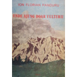 Ion Florian Panduru - Unde ajung doar vulturii (1988)