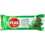 Rezerva Peak Wc Putere de curatare, Menta si Pin, 40g