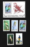 ciskei pasari mnh
