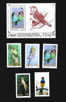 ciskei pasari mnh foto