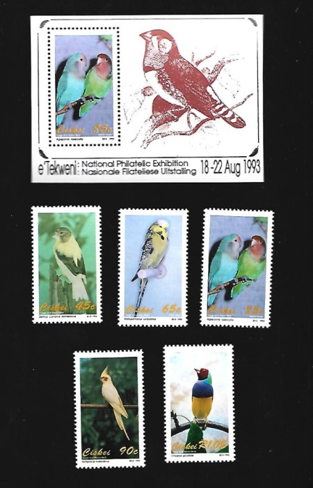 ciskei pasari mnh