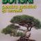 W. Kohlhepp - Bonsai pentru gradini si terase