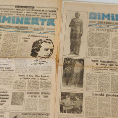 Ziare DIMINEAȚA (15.01.1991 / 15.01.1992) - Dedicate lui Mihai Eminescu