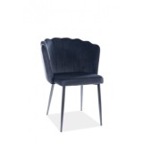 SCAUN SCO 2