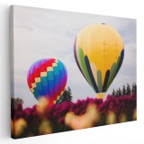 Tablou peisaj cu baloane cu aer cald Tablou canvas pe panza CU RAMA 50x70 cm