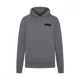 Formula 1 hanorac de bărbați cu glugă Boucle Quiet Shade 2024 - XL