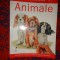 Cum sa desenam animale / un ghid pas cu pas cu 10 proiecte pentru incepatori