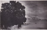 Vedere Balcic (circulata 1933)