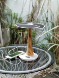 Incarcator solar 4.000 mAh Ginkgo, alb | XD Design