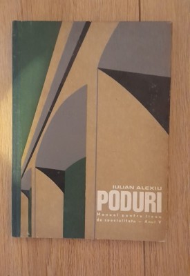 Poduri - I. Alexandru foto