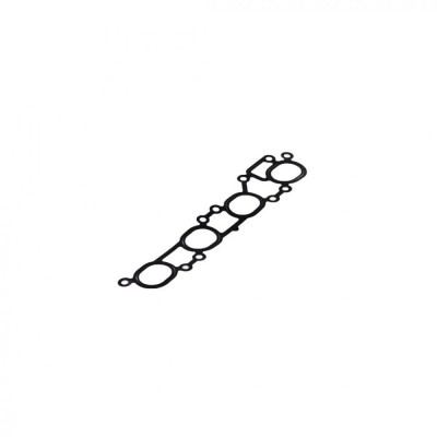 Garnitura galerie admisie NISSPRIMERA Traveller (W10) 2.0 i 1990-1998 CORTECO 450019P foto