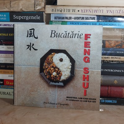 LAM KAM CHUEN - BUCATARIE FENG SHUI , 2005 * foto